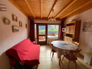 Appartement avec balcon, proche station ski, parking - FR-1-692-39 - 5