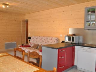 Appartement en chalet avec Multi Pass à 3€/jour, rez-de-chaussée, parking, proche Portes du Soleil - FR-1-692-56 - La Chapelle-dʼAbondance - 9