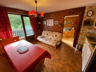 Appartement familial au pied des pistes avec balcon, parking et acceptant les animaux - FR-1-692-58 - 0
