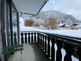 Charmant studio proche du Linga à Châtel, balcon et parking, idéal pour skier ! - FR-1-693-89 - Châtel - 8
