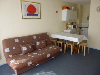 Appartement cosy 6 pers, 6e étage, accès direct pistes, galerie et parking gratuit - La Pierre Saint-Martin - FR-1-602-109 - Arette - 6