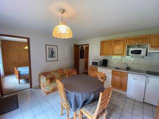 Appartement spacieux proche du domaine skiable à Châtel, Multi Pass été à 3€/jour/personne inclus - FR-1-693-90 - Châtel - 0