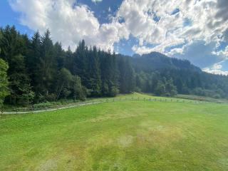 Appartement spacieux proche du domaine skiable à Châtel, Multi Pass été à 3€/jour/personne inclus - FR-1-693-90 - Châtel - 1