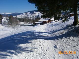 Chalet familial à La Bresse, proche randonnées, WIFI, animaux admis - FR-1-589-425 - La Bresse - 9