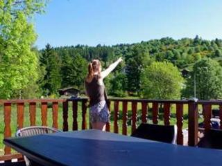 Chalet familial à La Bresse, proche randonnées, WIFI, animaux admis - FR-1-589-425 - La Bresse - 7
