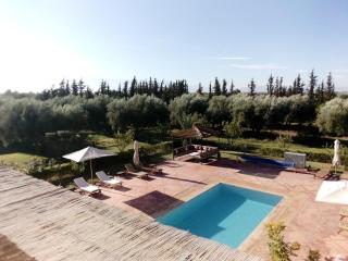 Spacious villa with pool near Marrakech - 2