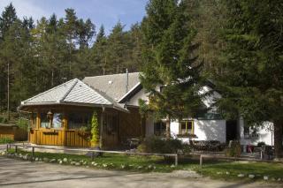 Guesthouse Draga - Begunje na Gorenjskem - 1