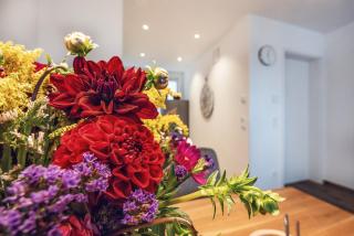 Ferienwohnung Veilcheneck - Erfurt - 1
