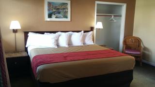 The Palms On Ocean - 5