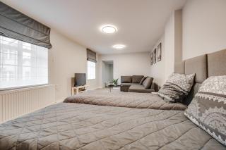 Central Platinum Apartments 19 - Rybnik - 9