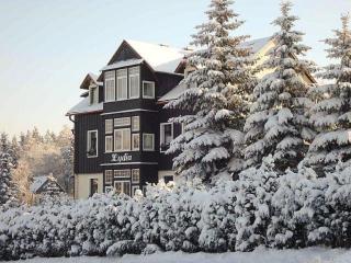 Villa Lydia - Kurort Altenberg - 8