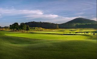 Pursell Farms - Fayetteville - 1