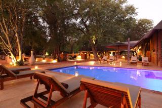 Lamai Safari Lodge - Balule Game Reserve - 0