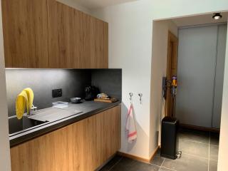 Appartement 6 pers avec balcons, garage et local à ski - FR-1-198-238 - Châtel - 2