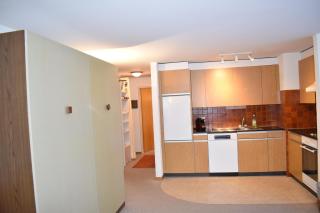 Lodola 298 1 Hk , Wohnung 1 - Lenzerheide - 7