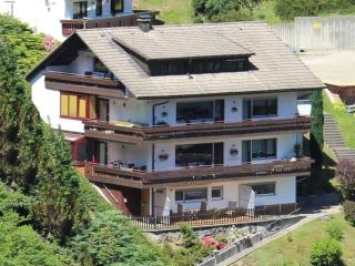Ferienwohnung Schwarzwaldblick - Bad Rippoldsau-Schapbach - 9