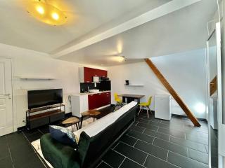 Studio avec terrasse et entrée privative. - Orléans - 4