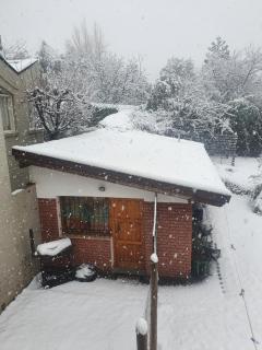 Mono Belgrano1 - Bariloche - 0