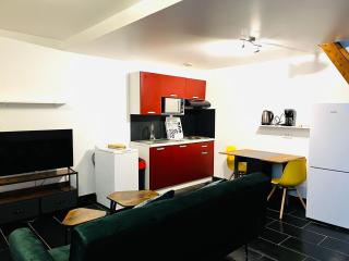 Studio avec terrasse et entrée privative. - Orléans - 7