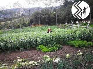 Monzaque- paraíso de bachué - El Barrial - 2