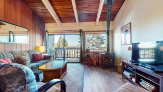 Mammoth Point #106 condo - 9