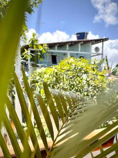 Casa Palmeira - Pipa - 1