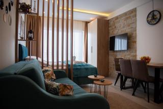 Apartman Larisa - Kopaonik - 9