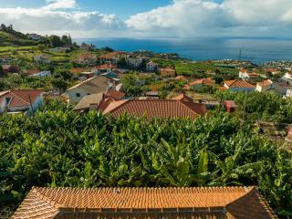 Casa D`Avó Celina - Funchal - 3