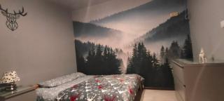 Apartamenty Pilsko Korbielów komfortowe mieszkania dla rodzin i narciarzy w Beskidach - Korbielów - 2