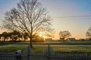 Miners Cottage lancefield - Lancefield - 9