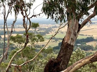 Miners Cottage lancefield - Lancefield - 6