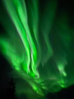 Macktunet - Retro log cabin from the 70s in Malangen - 6