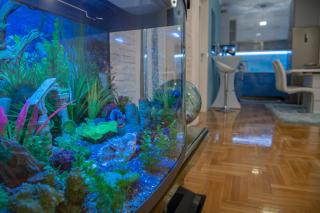 Apartment Queen 1 - Trebinje - 4