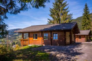 Chalets Ebner - Eben im Pongau - 9