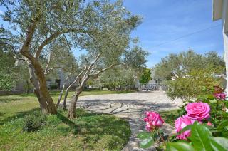 Apartments Diana Lovetovo - Vodice - 1