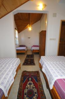 Olympos Koyevi Countryhouse - Olympos - 8
