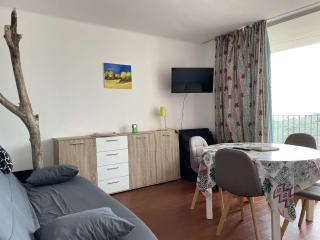 Appartement 2 pièces climatisé avec terrasse - Banyuls-sur-Mer - FR-1-225C-110 - Banyuls-sur-Mer - 0