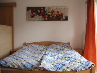 Apartma Jeglic - Bohinj - 1
