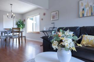@ Marbella Lane - 4BR Cozy home in SJ Pool - San Jose - 2