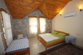 Olympos Koyevi Countryhouse - 1