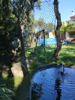 Casa adossada de camp prop de la Costa Brava - 6