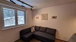 Xenia Apartment - Kopaonik - 3
