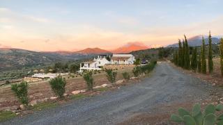 Casita Zayas - Guesthouse - Periana - 7