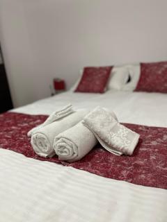 BUTTERFLY FAMILY APARTMENT SIBIU - Sibiu - 0