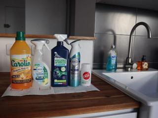 Magnifique appartement à 5 min de Paris et 10 min de l'aéroport d'Orly - Choisy-le-Roi - 3