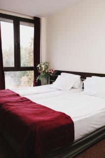 Borovets Green Hotel - 1