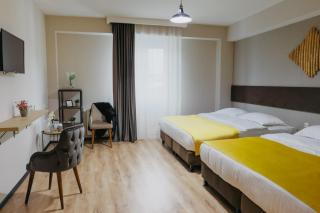 GABATA INN - Bakuriani - 7