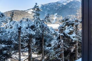 Haus Excelsior Top 3 - Seefeld in Tirol - 6