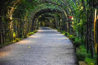 Bougainvillea Retreat & Spa - Kāhārpāra - 9