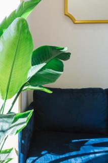 Campanha Apartment By Porto Stories - Porto - 7